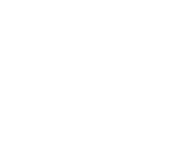 logo -action-agency